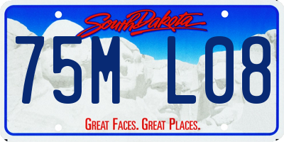 SD license plate 75ML08
