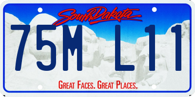 SD license plate 75ML11