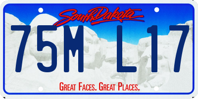 SD license plate 75ML17
