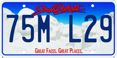 SD license plate 75ML29