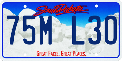 SD license plate 75ML30