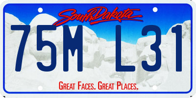 SD license plate 75ML31