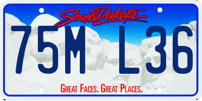 SD license plate 75ML36
