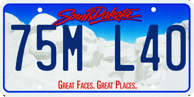 SD license plate 75ML40