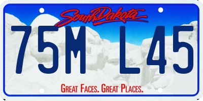 SD license plate 75ML45