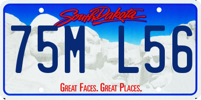 SD license plate 75ML56