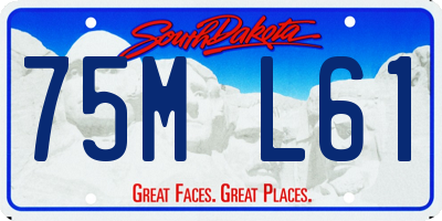 SD license plate 75ML61