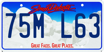 SD license plate 75ML63