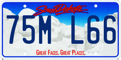 SD license plate 75ML66