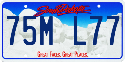 SD license plate 75ML77