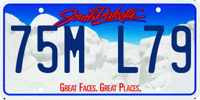 SD license plate 75ML79