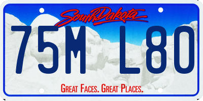 SD license plate 75ML80