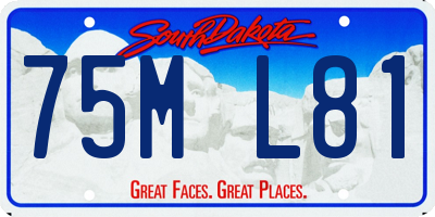 SD license plate 75ML81