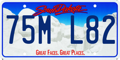 SD license plate 75ML82