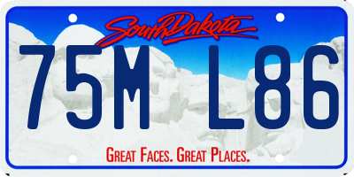 SD license plate 75ML86