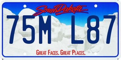 SD license plate 75ML87
