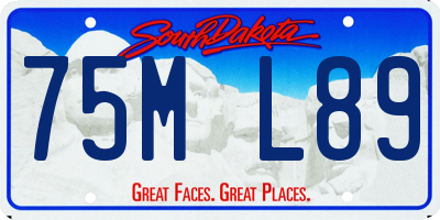 SD license plate 75ML89