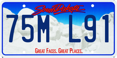 SD license plate 75ML91