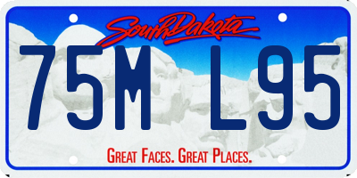 SD license plate 75ML95