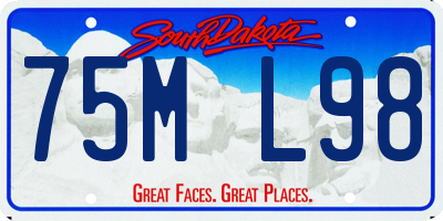 SD license plate 75ML98