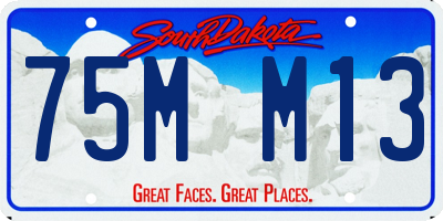 SD license plate 75MM13