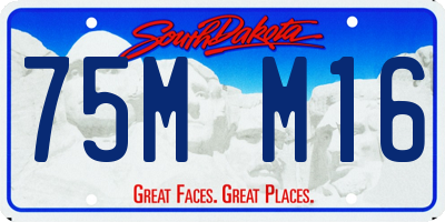 SD license plate 75MM16