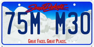 SD license plate 75MM30