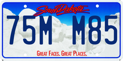 SD license plate 75MM85