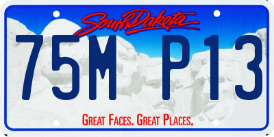 SD license plate 75MP13