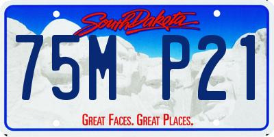 SD license plate 75MP21
