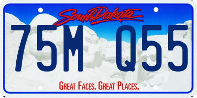 SD license plate 75MQ55