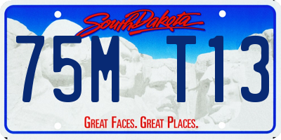 SD license plate 75MT13