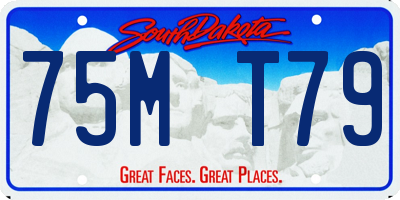 SD license plate 75MT79