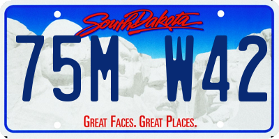 SD license plate 75MW42