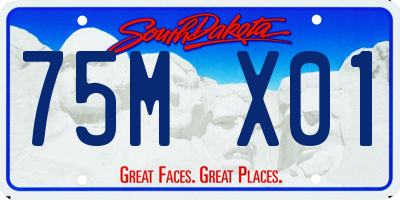 SD license plate 75MX01