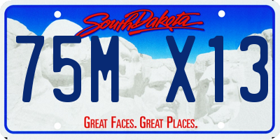 SD license plate 75MX13