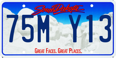 SD license plate 75MY13