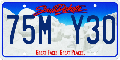 SD license plate 75MY30