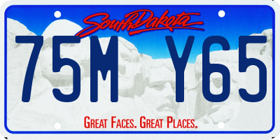 SD license plate 75MY65