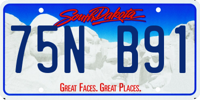 SD license plate 75NB91