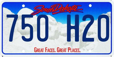 SD license plate 75OH20