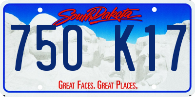 SD license plate 75OK17