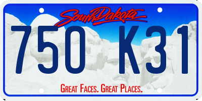 SD license plate 75OK31
