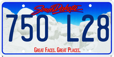 SD license plate 75OL28
