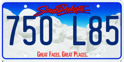 SD license plate 75OL85