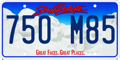 SD license plate 75OM85