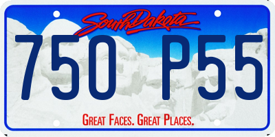 SD license plate 75OP55