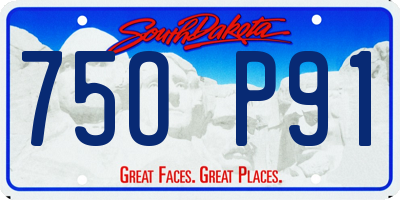 SD license plate 75OP91