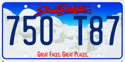 SD license plate 75OT87