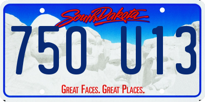 SD license plate 75OU13